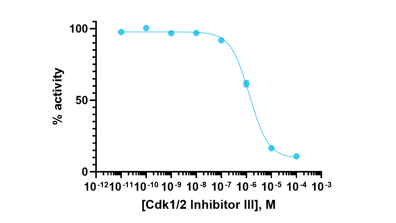 Casein Kinase 1gamma2 Kinase Enzyme Activity Assay Kit