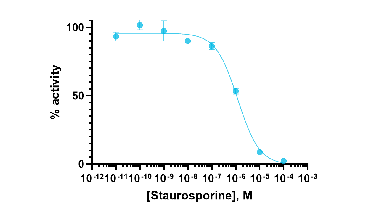 NEK5 Kinase Enzyme Activity Assay Kit