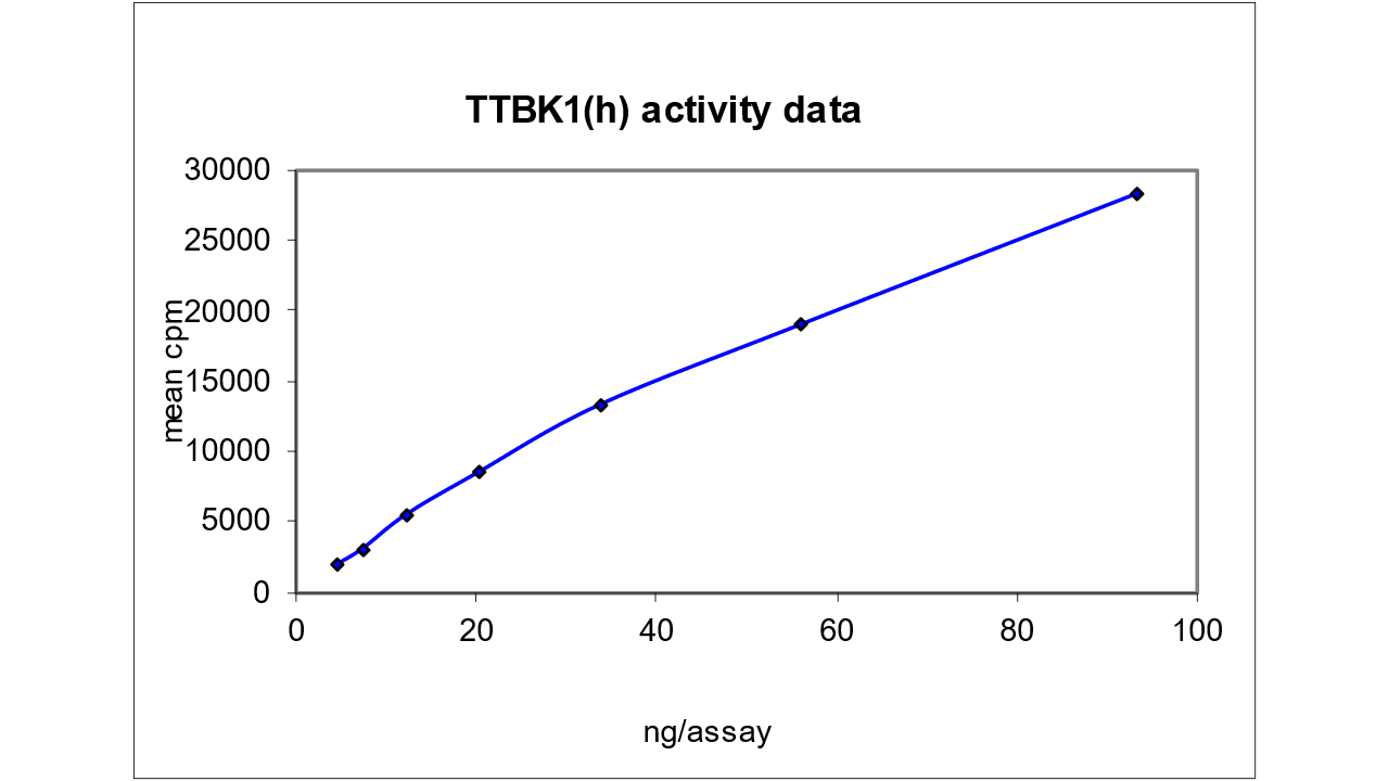 TTBK1, active