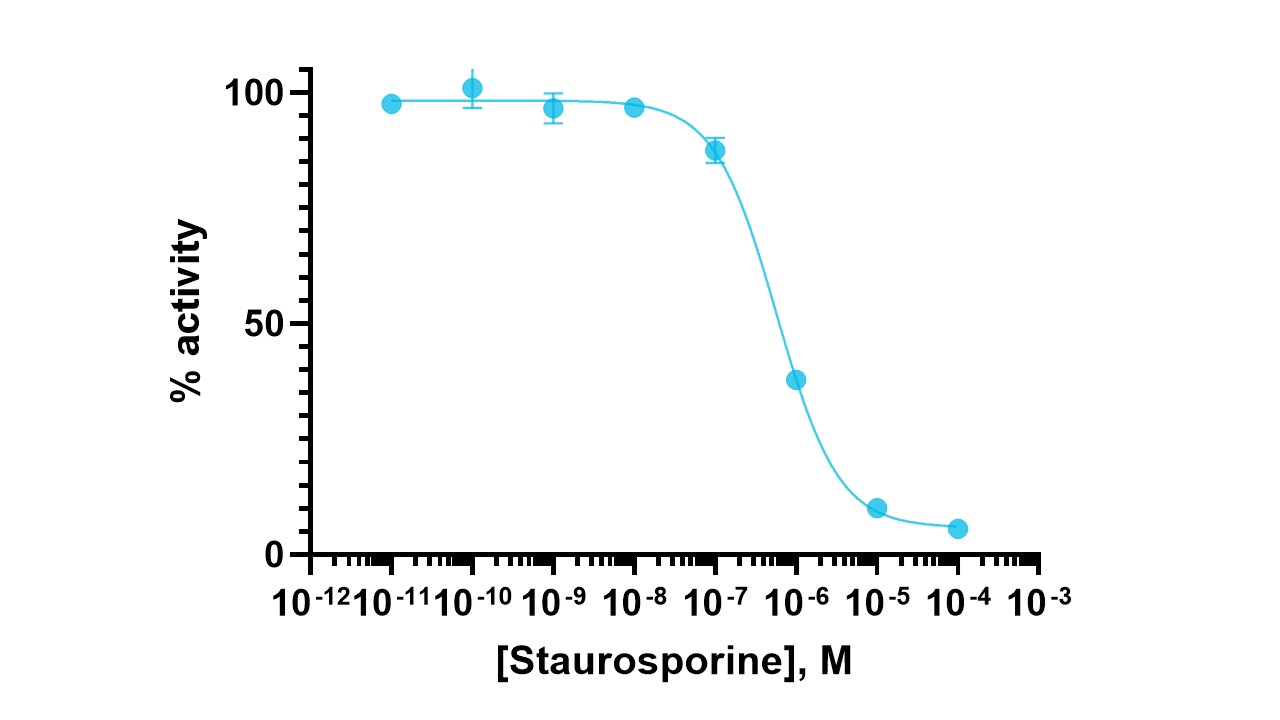 Txk Kinase Enzyme Activity Assay Kit