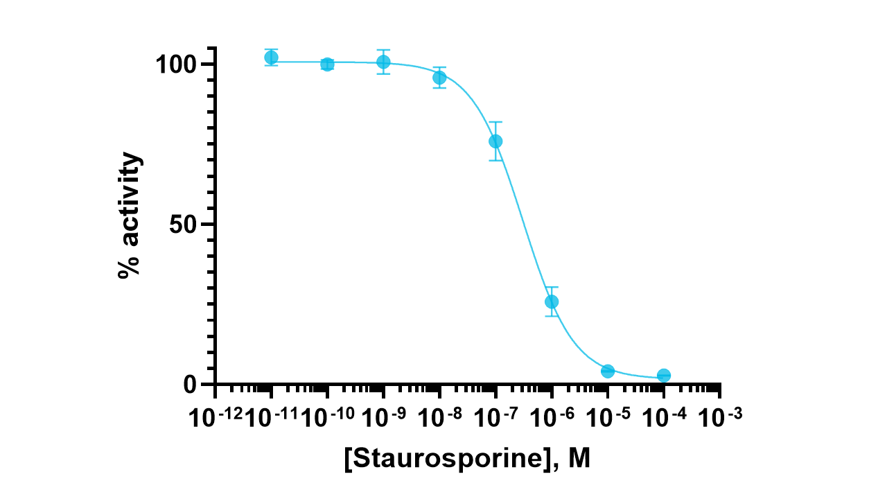 CDK16/cyclin Y Kinase Enzyme Activity Assay Kit