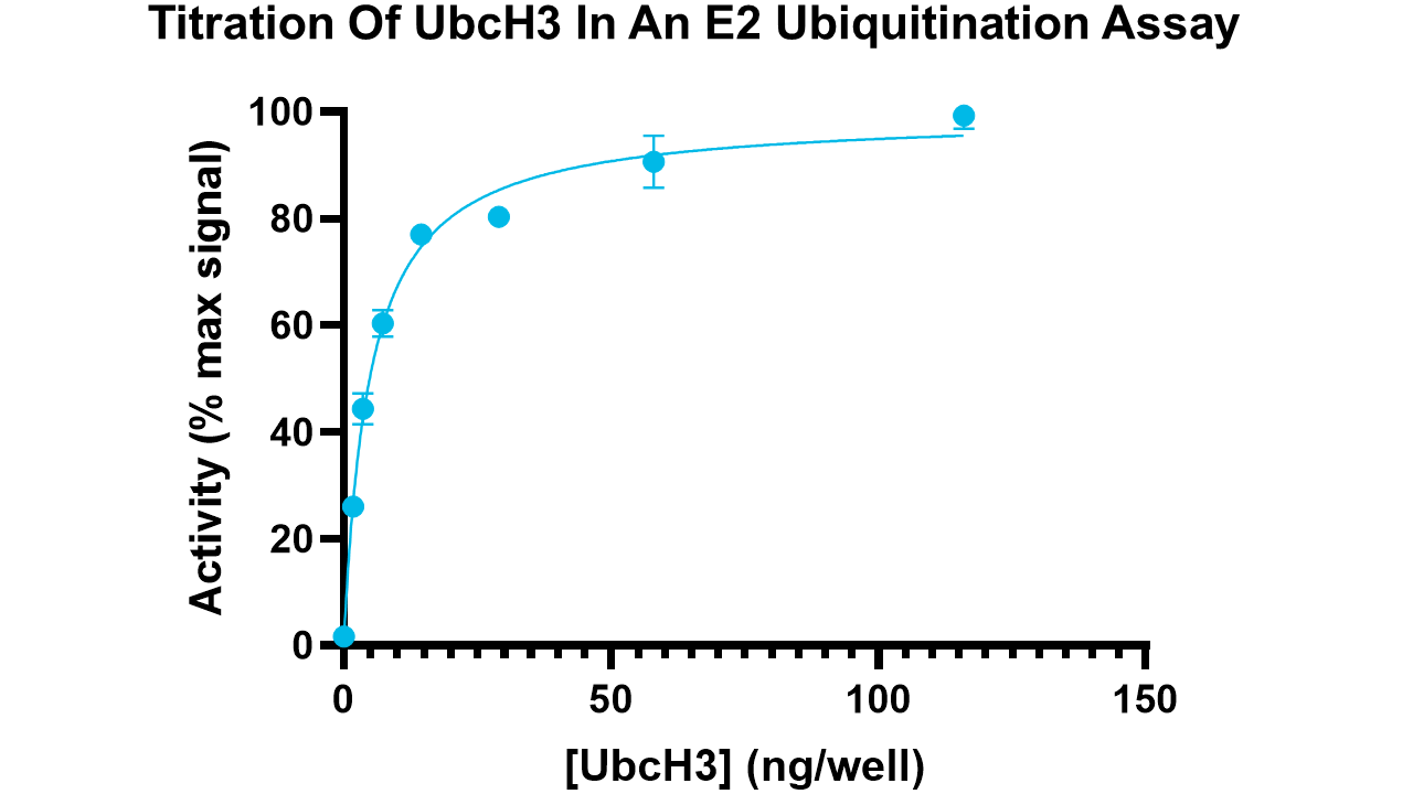 UbcH3, active