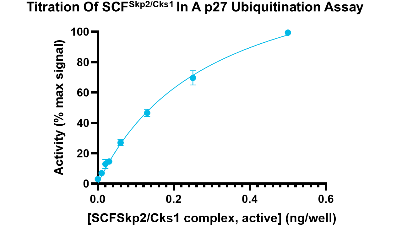 SCF Skp2/Cks1 complex, active