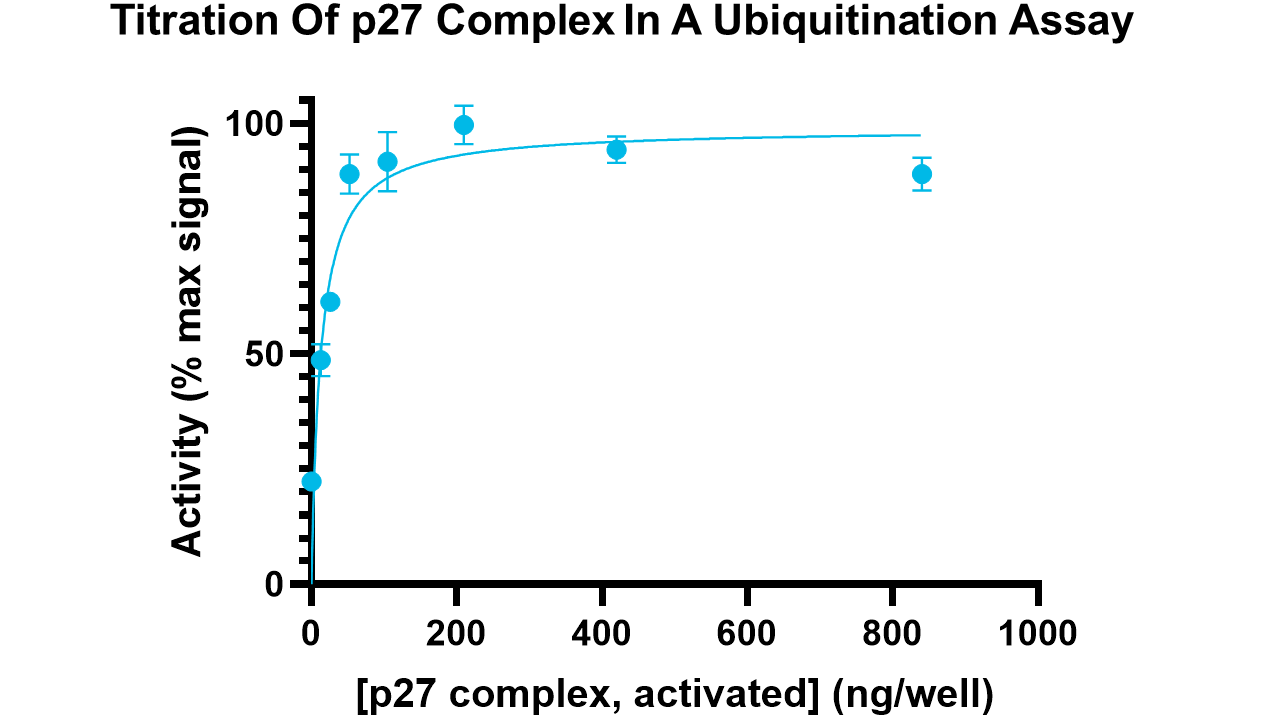 p27 complex, activated