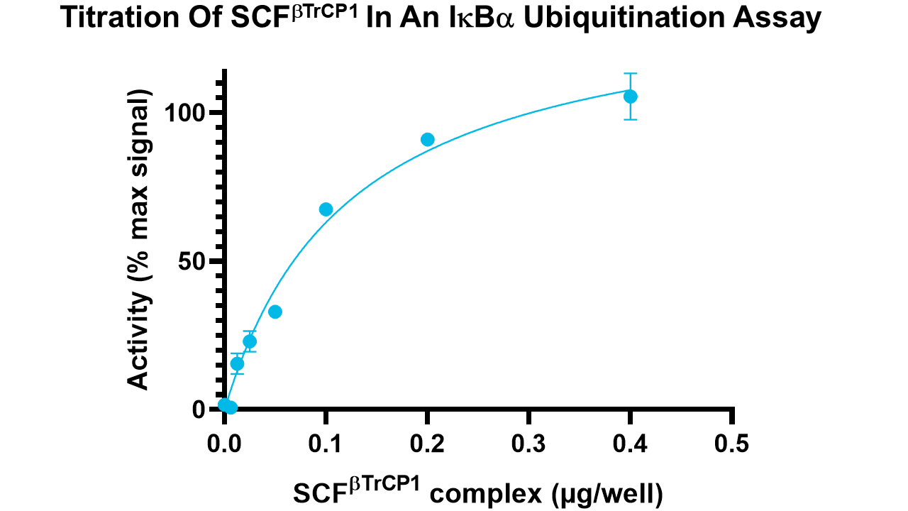 SCF beta-TrCP1 complex, active