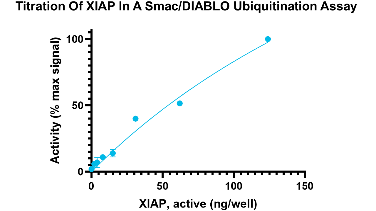 XIAP, active