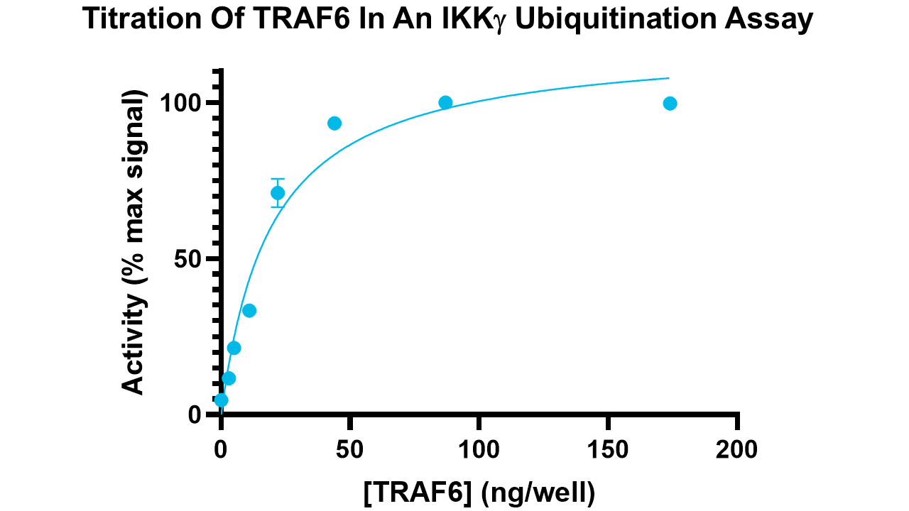 TRAF6, active