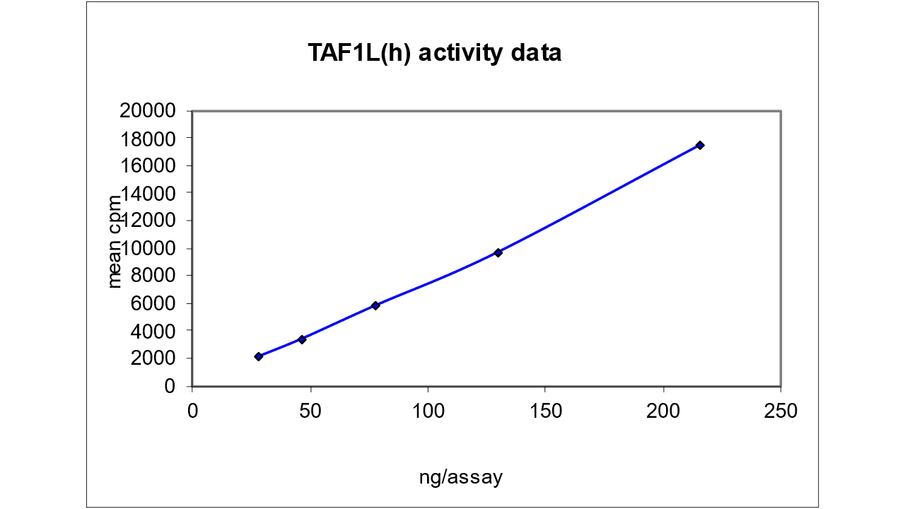 TAF1L, active