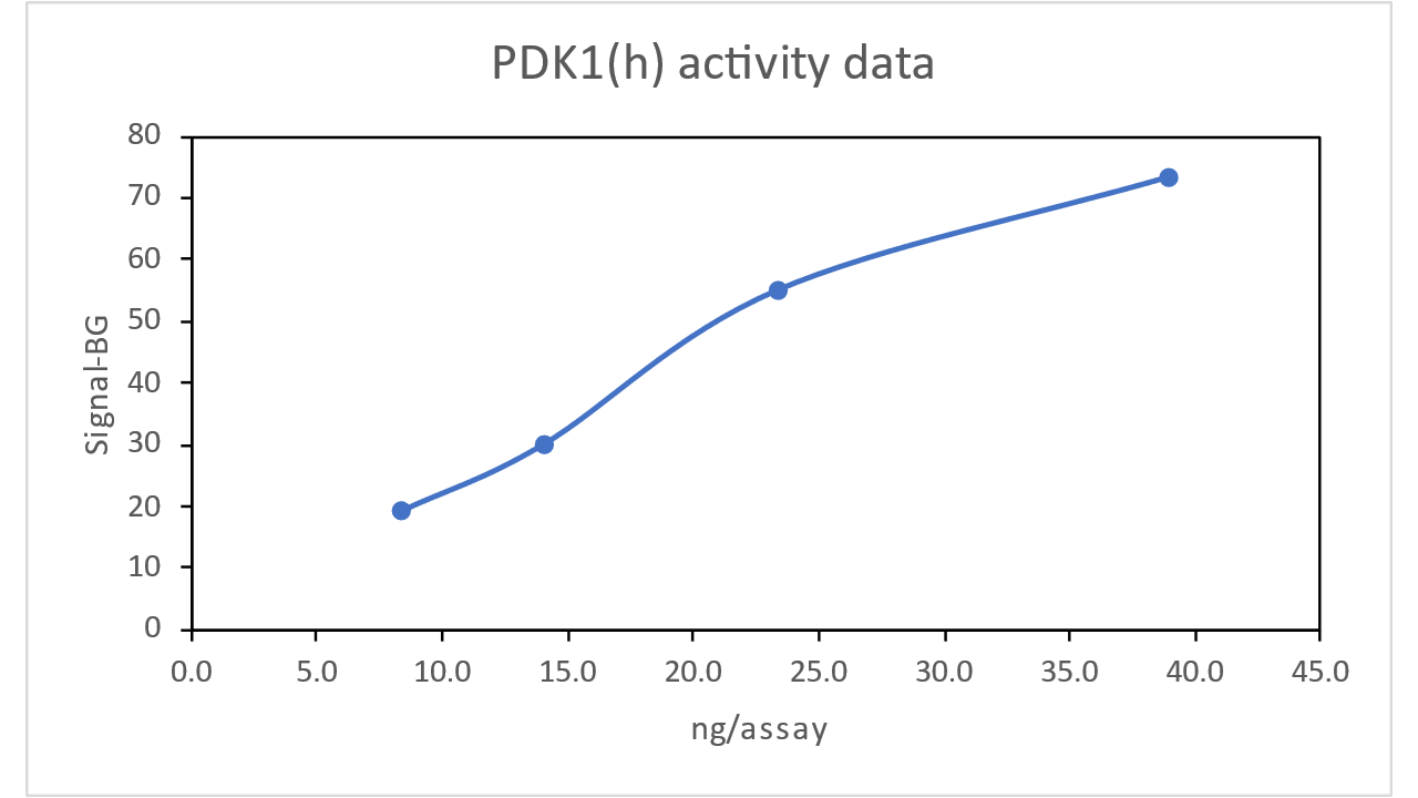 PDK1 (PDHK1), active