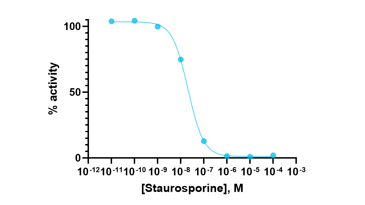 Syk Kinase Enzyme Activity Assay Kit