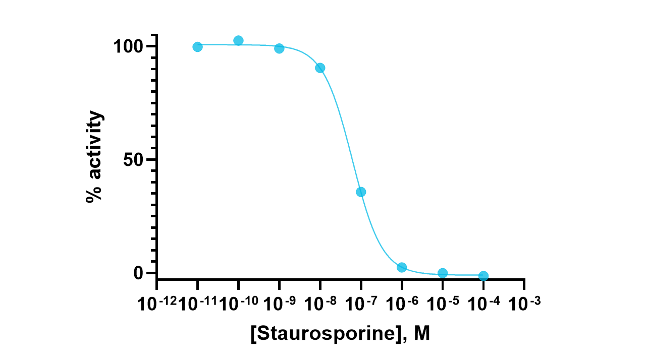 Rse Kinase Enzyme Activity Assay Kit
