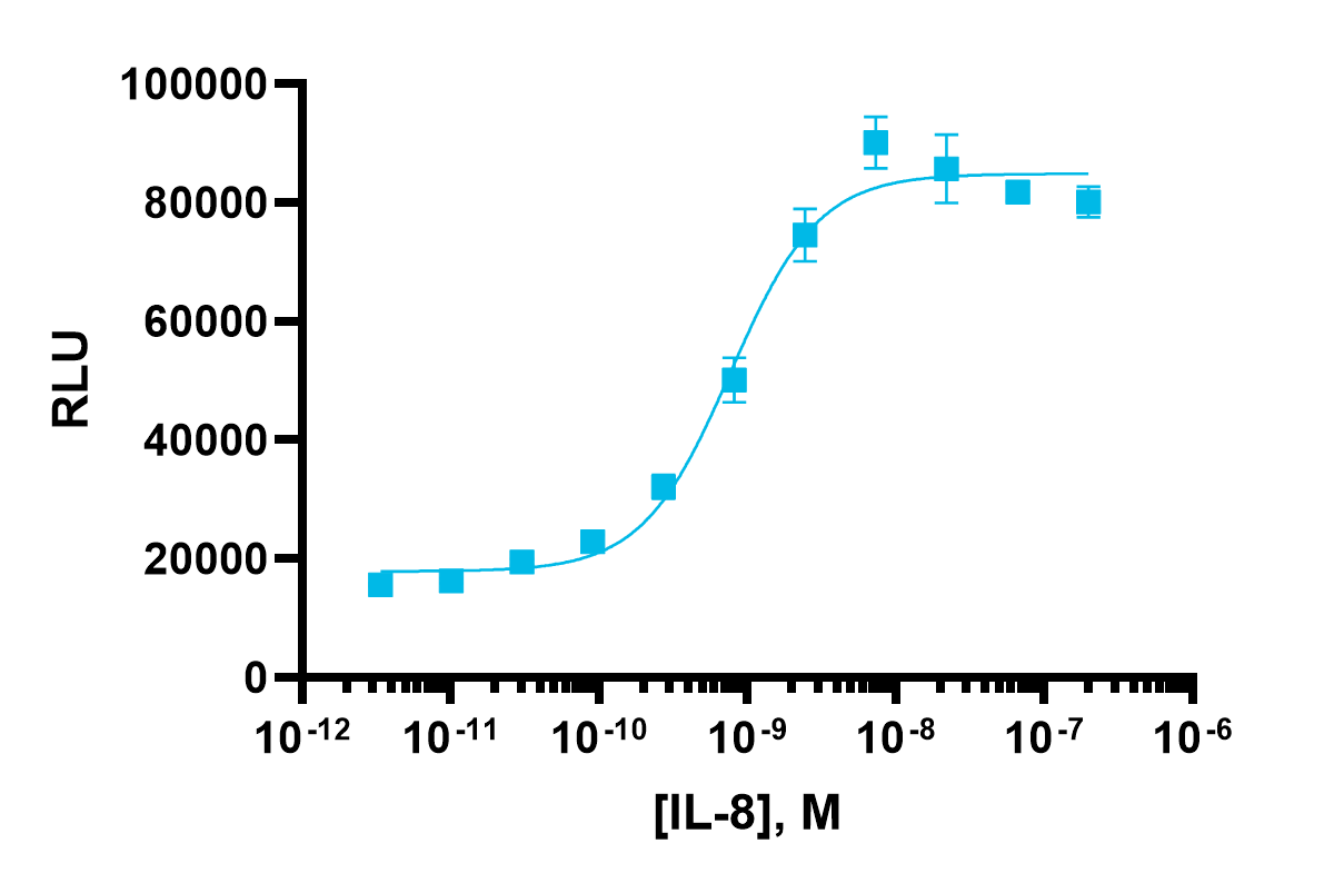 PathHunter® CXCR2 (IL8RB) β-Arrestin Cell Line (CHO-K1)