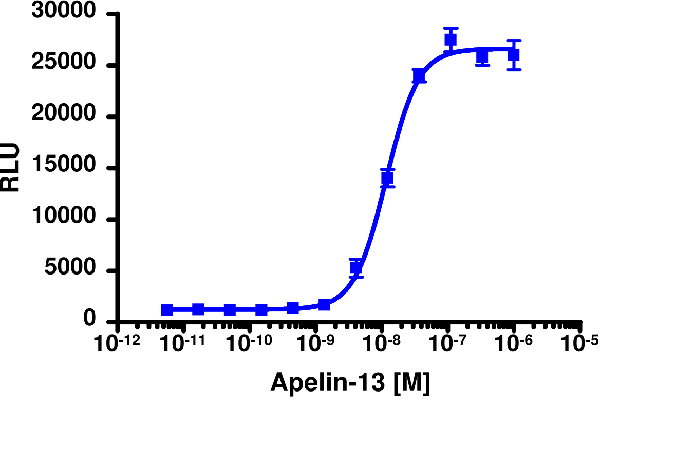 PathHunter® Human Apelin (APJ Receptor) Stable Cell Line Activated GPCR Internalization Assay (U2OS)