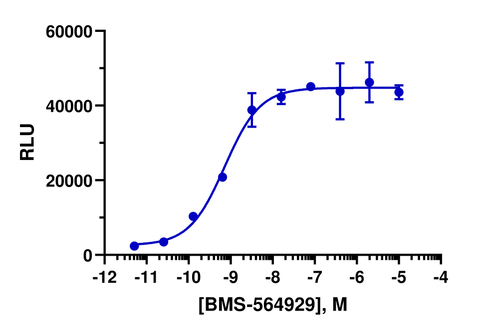 PathHunter® Human AR Stable Cell Line Nuclear Translocation Assay (HEK 293)