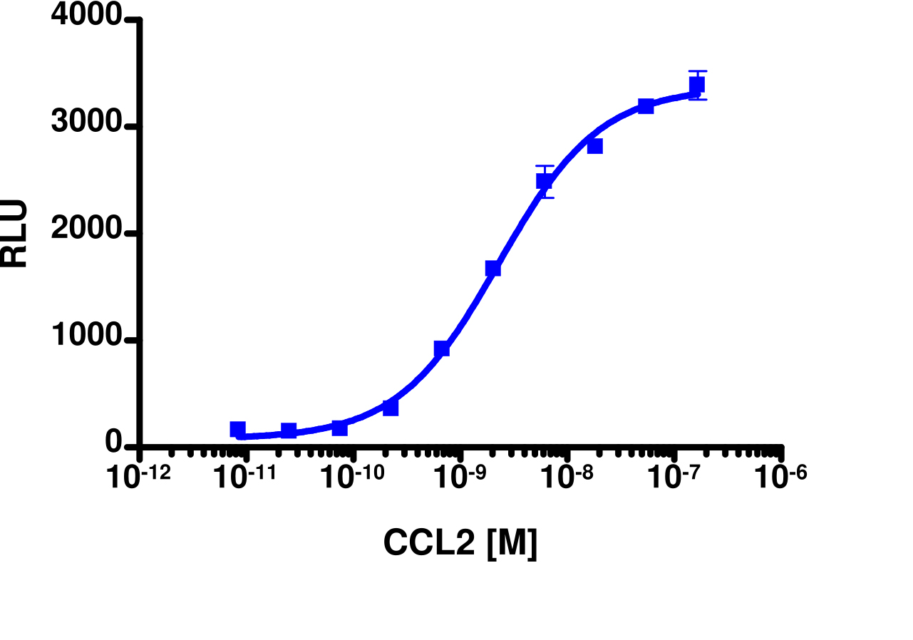 PathHunter® Human MCP-1 (CCR2) β-Arrestin Stable Cell Line Assay (HEK 293)