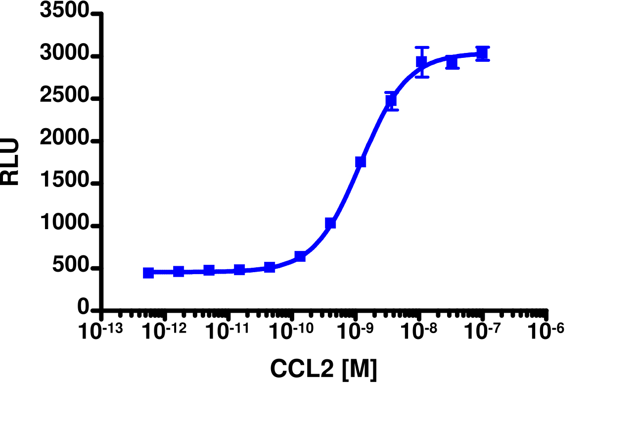 PathHunter® Human MCP-1 (CCR2) β-Arrestin Stable Cell Line Assay (CHO-K1)