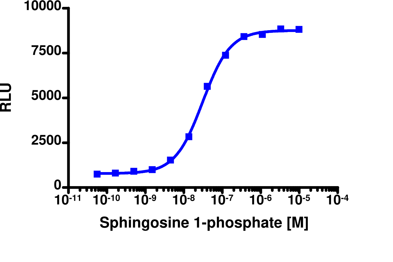 PathHunter® Human S1P1 (EDG1) β-Arrestin Cell-Based Assay Kit (CHO-K1)