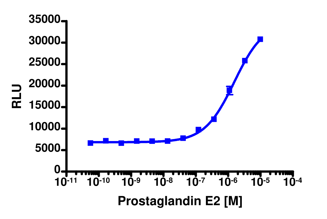 PathHunter® Human PTGER2 β-Arrestin Cell-Based Assay Kit (HEK 293)
