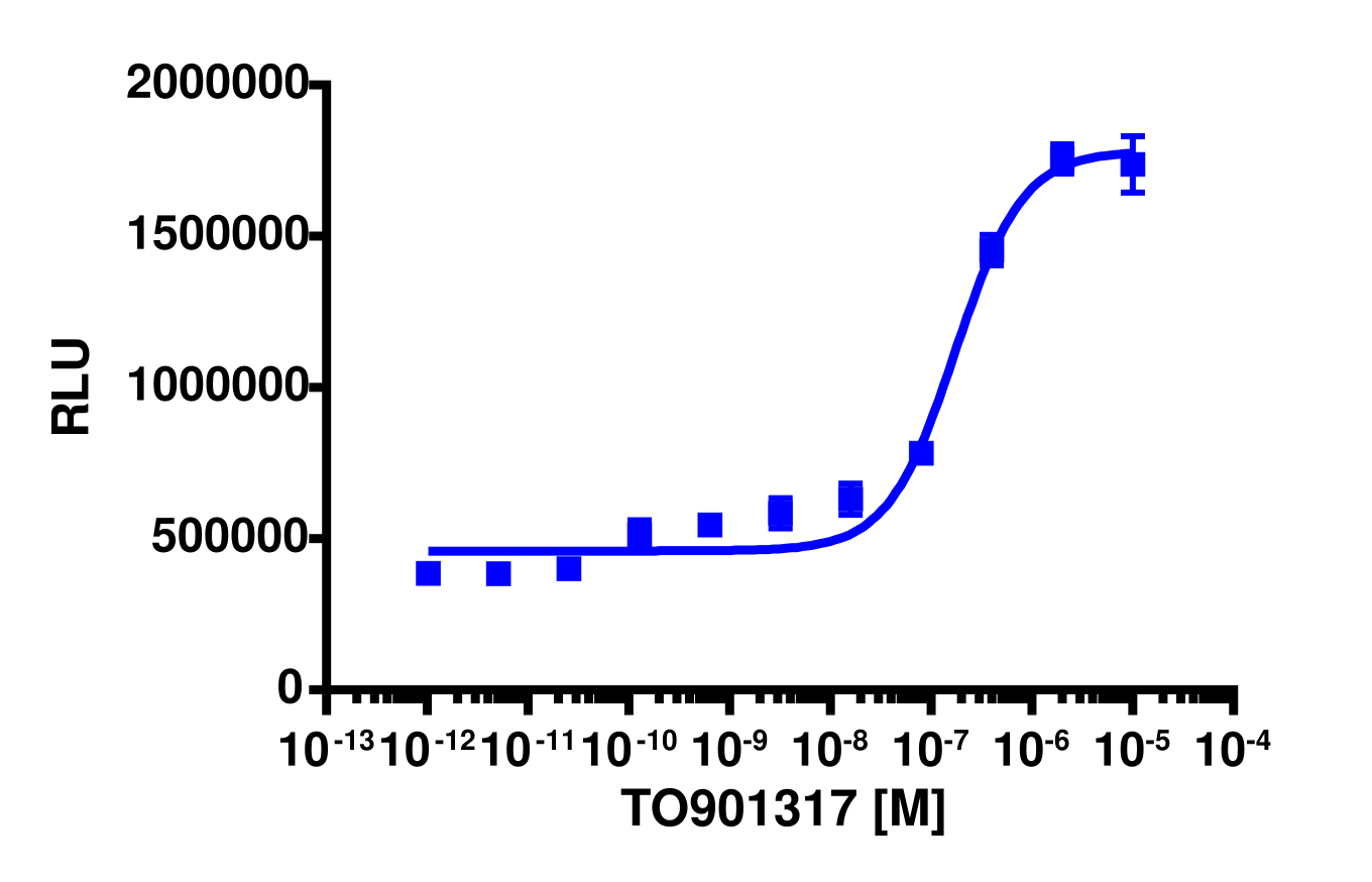 PathHunter® Human LXR alpha Nuclear Translocation Cell-Based Assay Kit (CHO-K1)