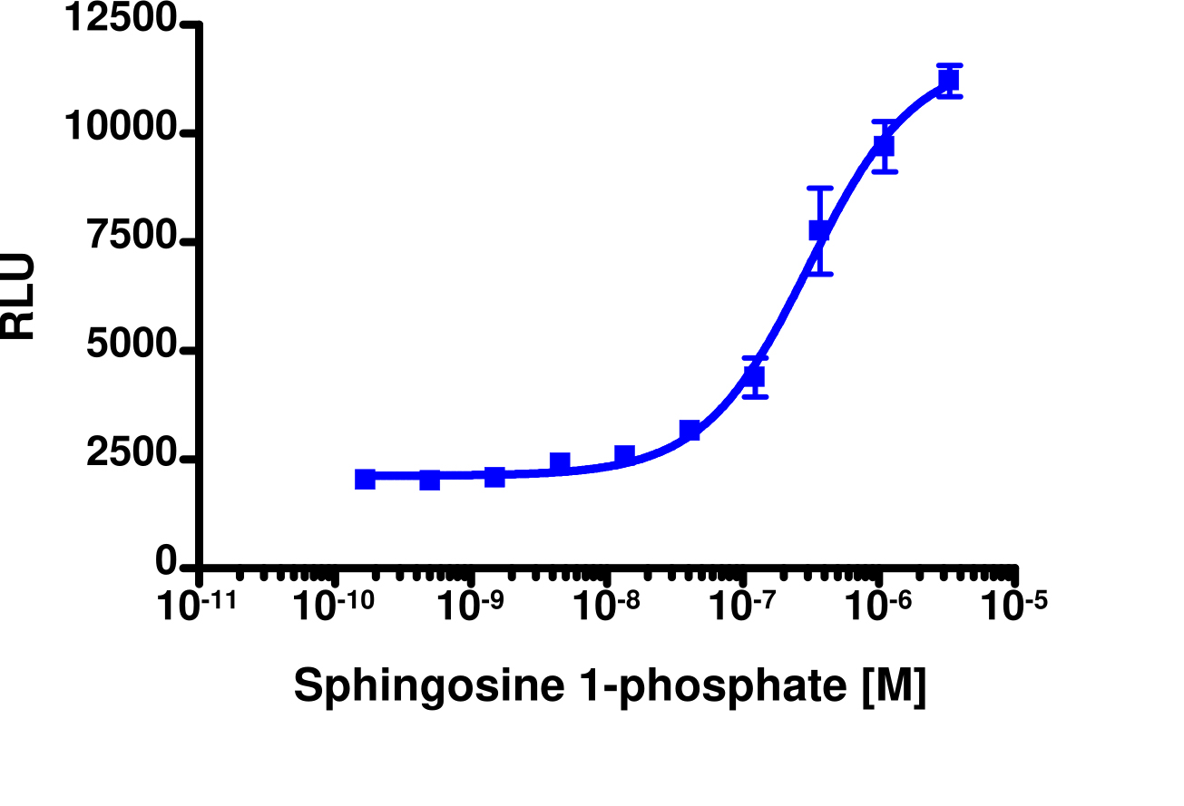 PathHunter® Human S1P3 (EDG3) β-Arrestin Cell-Based Assay Kit (HEK 293)