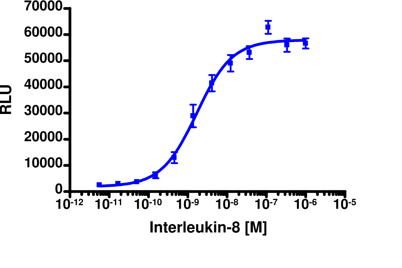PathHunter® Human IL-8 (CXCR1) β-Arrestin Cell-Based Assay Kit (U2OS)