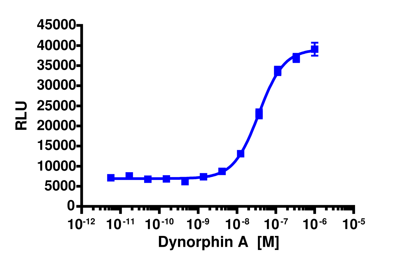 PathHunter® Human OPRK1 (Opioid Kappa) β-Arrestin Cell-Based Assay Kit (U2OS)