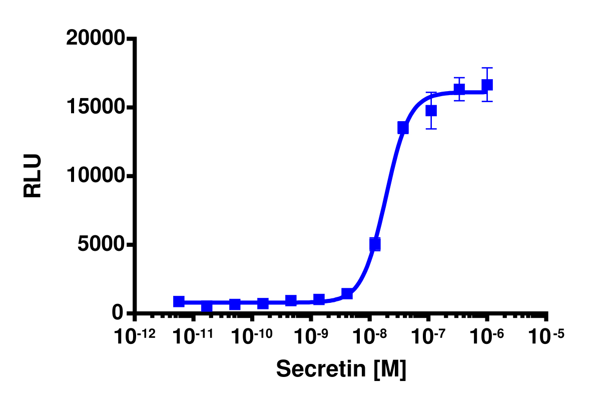 PathHunter® Human SCTR β-Arrestin Stable Cell Line Assay (HEK 293)