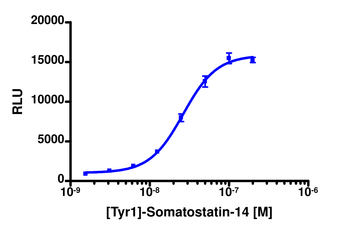 PathHunter® Human SSTR3 β-Arrestin Stable Cell Line Assay (HEK 293)