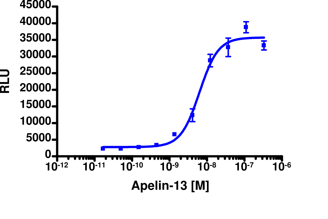 PathHunter® Human Apelin (APJ Receptor) β-Arrestin Cell-Based Assay Kit (CHO-K1)