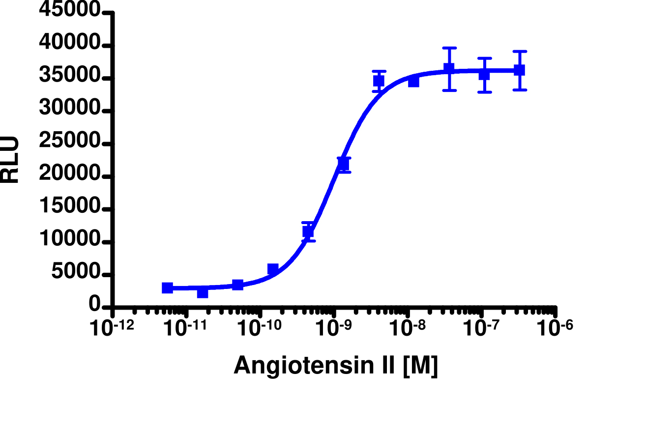PathHunter® Human AGTR1 β-Arrestin Cell-Based Assay Kit (CHO-K1)