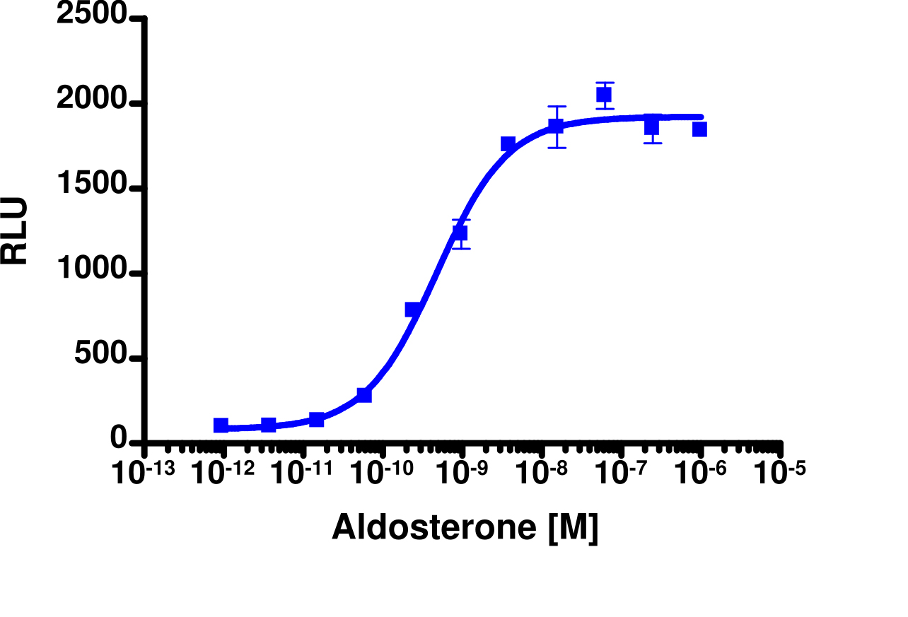 PathHunter® Human MR Stable Cell Line Nuclear Translocation Assay (CHO-K1)