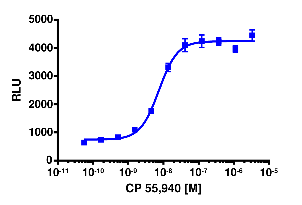 PathHunter® Mouse CNR2 (CB2) β-Arrestin Cell-Based Assay Kit (CHO-K1)