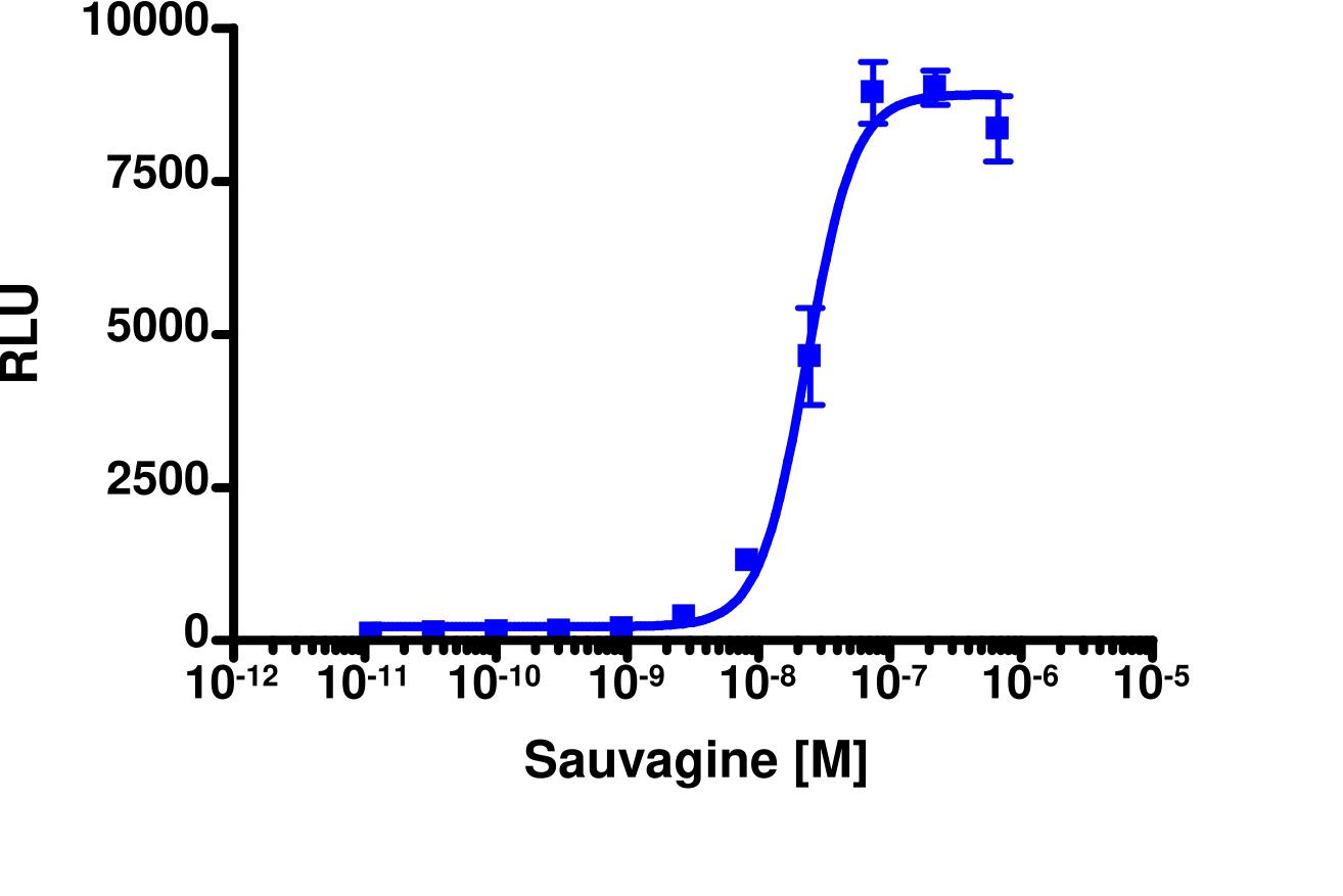 PathHunter® Mouse CRHR1 β-Arrestin Cell-Based Assay Kit (CHO-K1)