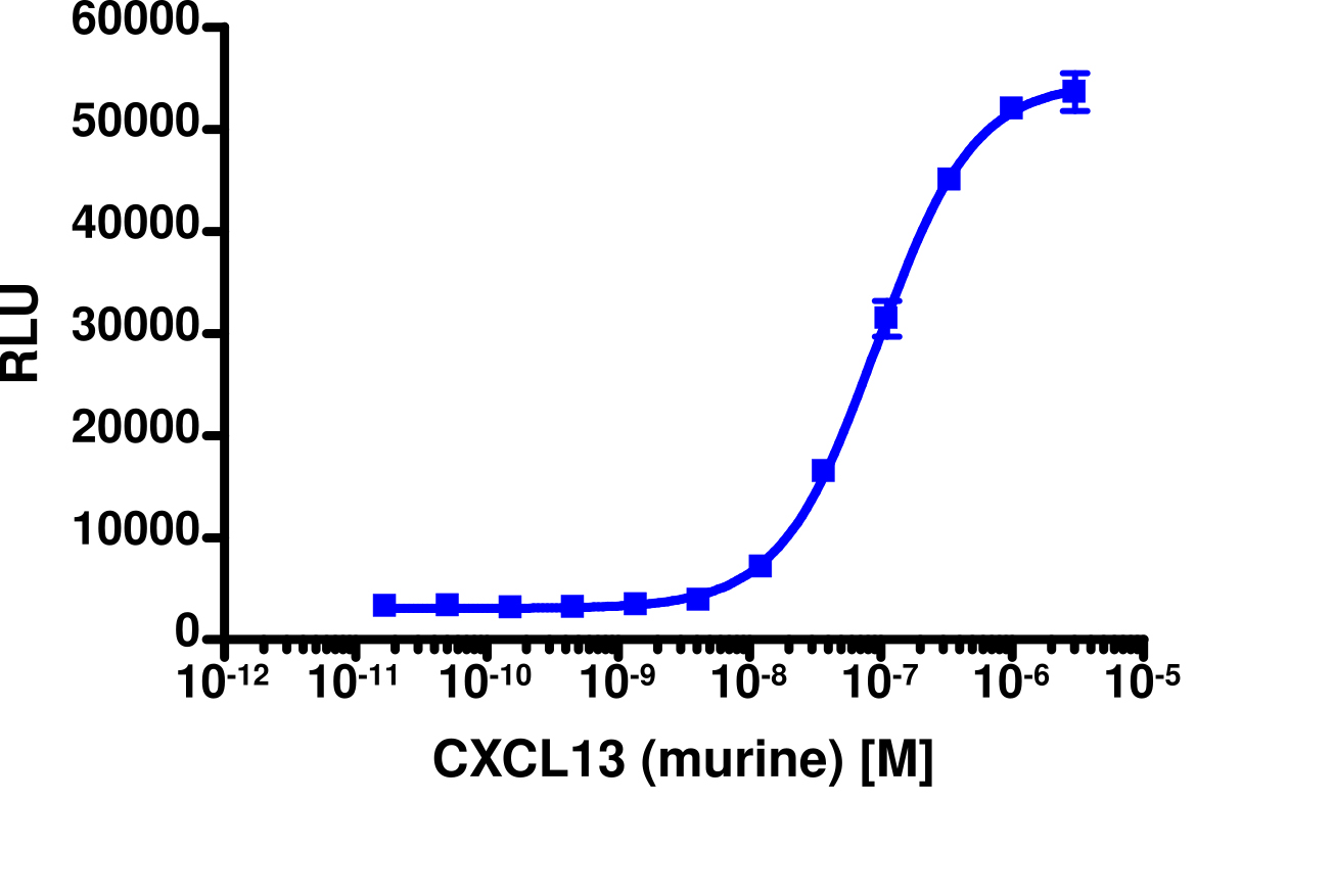 PathHunter® Mouse CXCL13 (CXCR5) β-Arrestin Stable Cell Line Assay (CHO-K1)