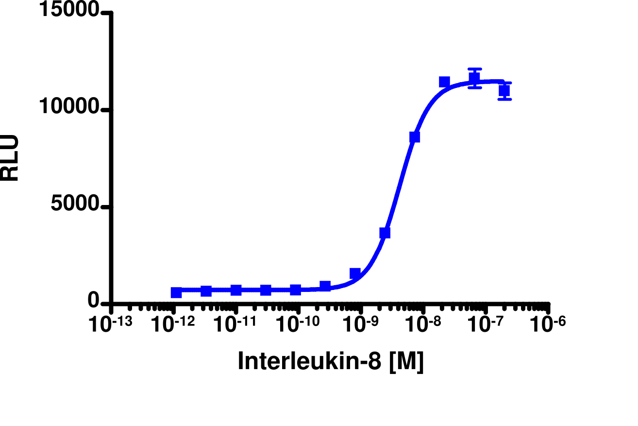 PathHunter® Mouse IL-8 (CXCR2) β-Arrestin Stable Cell Line Assay (CHO-K1)