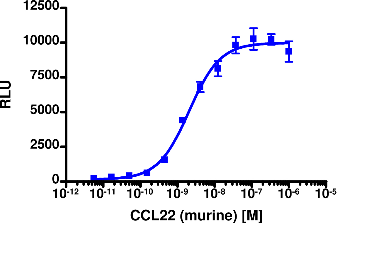 PathHunter® Mouse MDC (CCR4) β-Arrestin Cell-Based Assay Kit (CHO-K1)