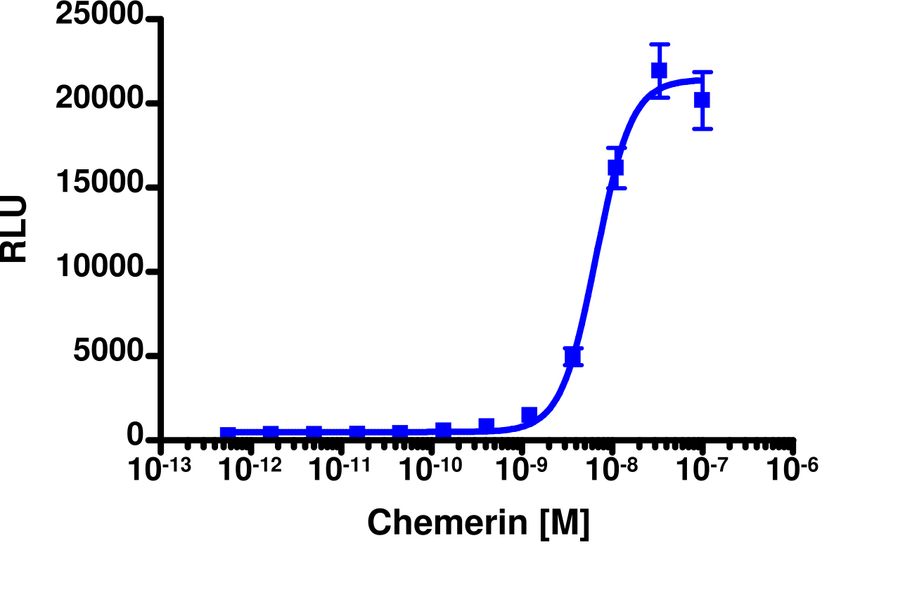 PathHunter® Mouse CMKLR1 β-Arrestin Cell-Based Assay Kit (CHO-K1)