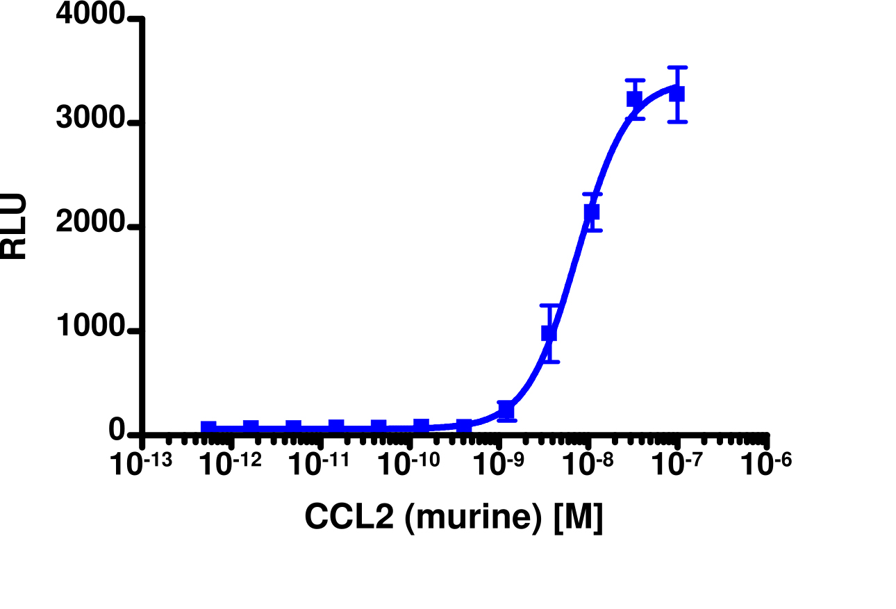 PathHunter® Mouse MCP-1 (CCR2) β-Arrestin Stable Cell Line Assay (U2OS)