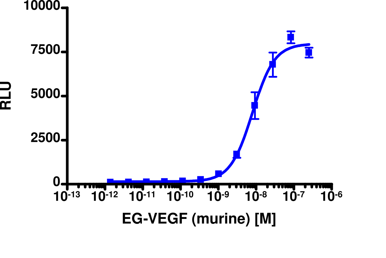PathHunter® Rat PROKR1 β-Arrestin Cell-Based Assay Kit (CHO-K1)