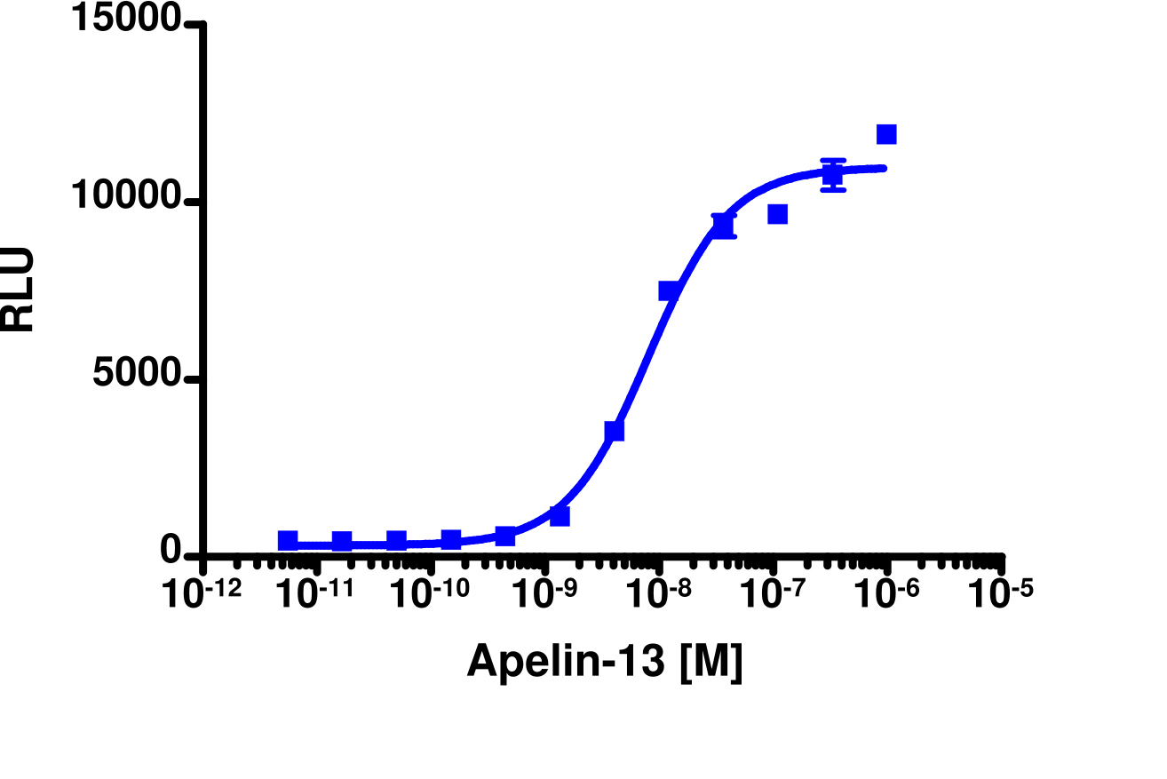 PathHunter® Mouse Apelin (APJ Receptor) β-Arrestin Cell-Based Assay Kit (CHO-K1)