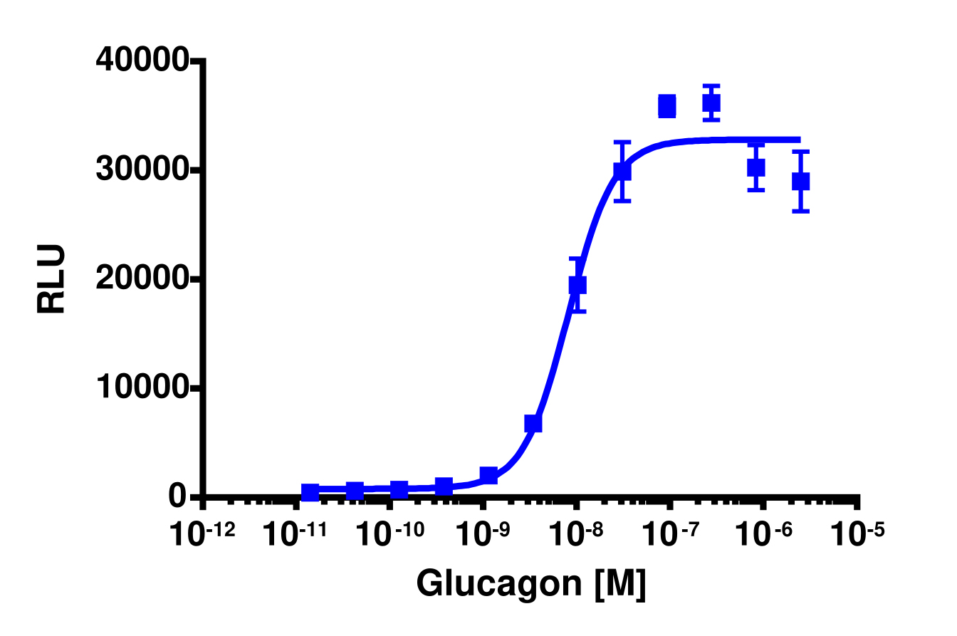 PathHunter® Mouse Glucagon (GCGR) β-Arrestin Stable Cell Line Assay (CHO-K1)