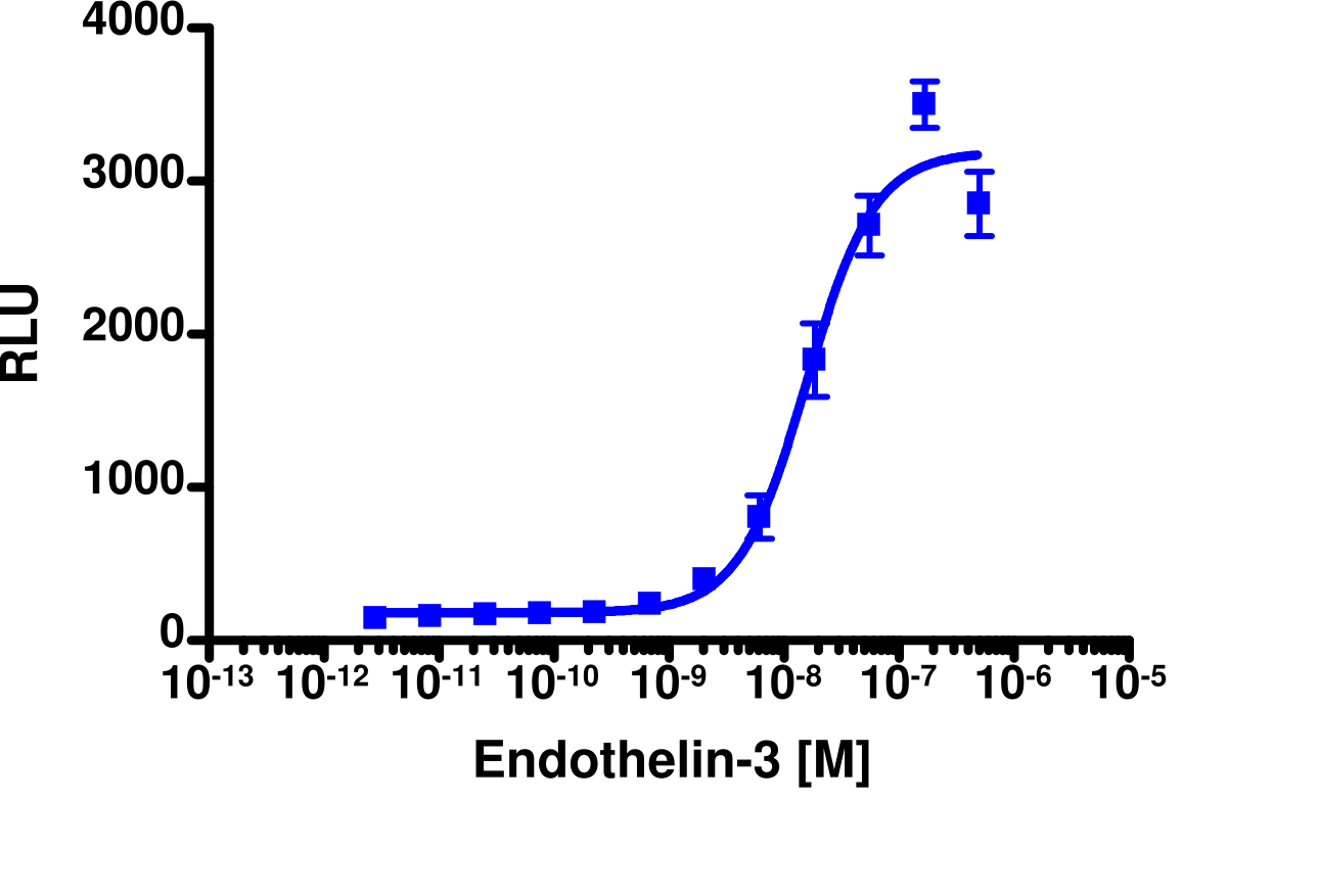 PathHunter® Human EDNRB β-Arrestin Stable Cell Line Assay (CHO-K1)