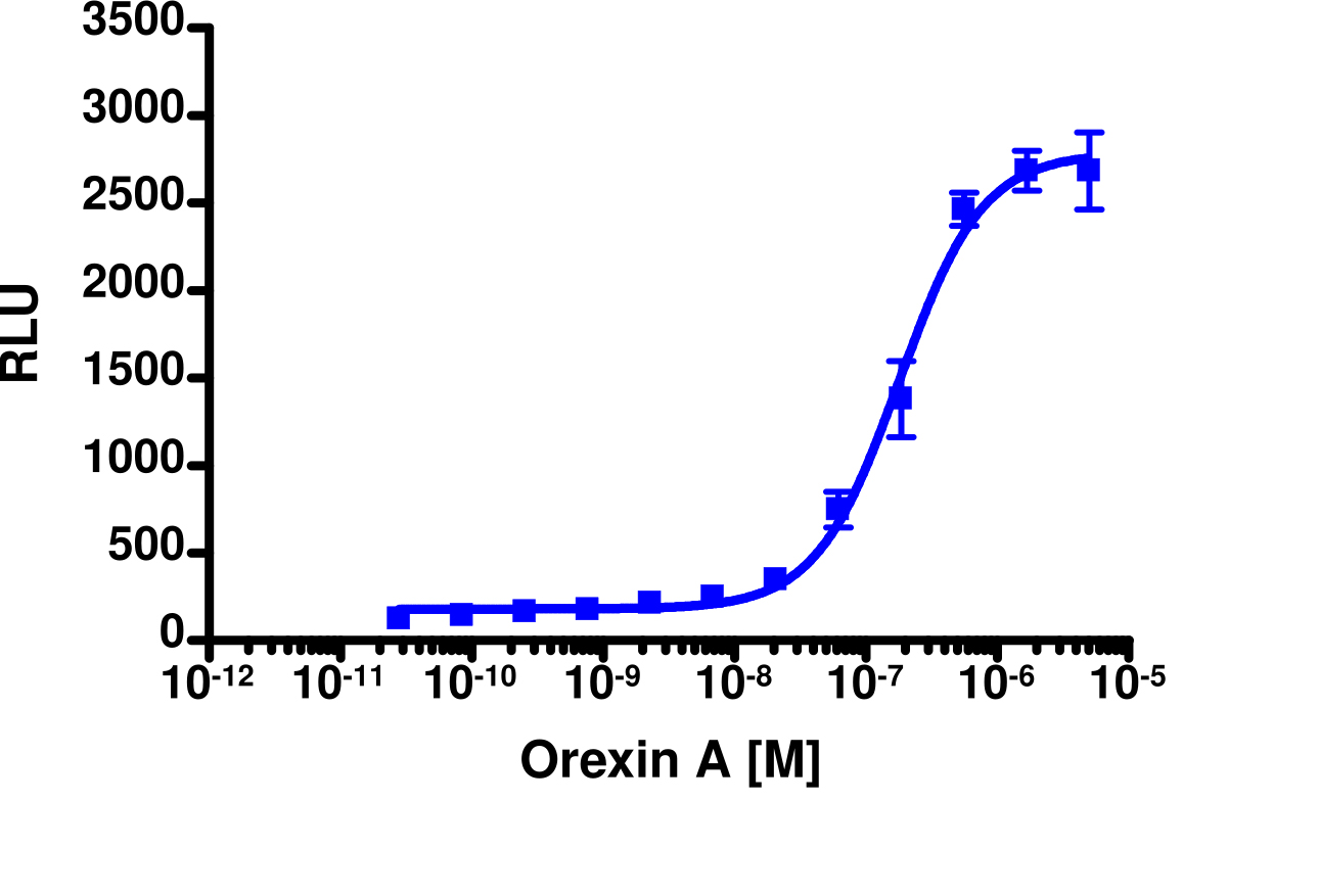 PathHunter® Mouse HCRTR1 β-Arrestin Stable Cell Pool Assay (CHO-K1)