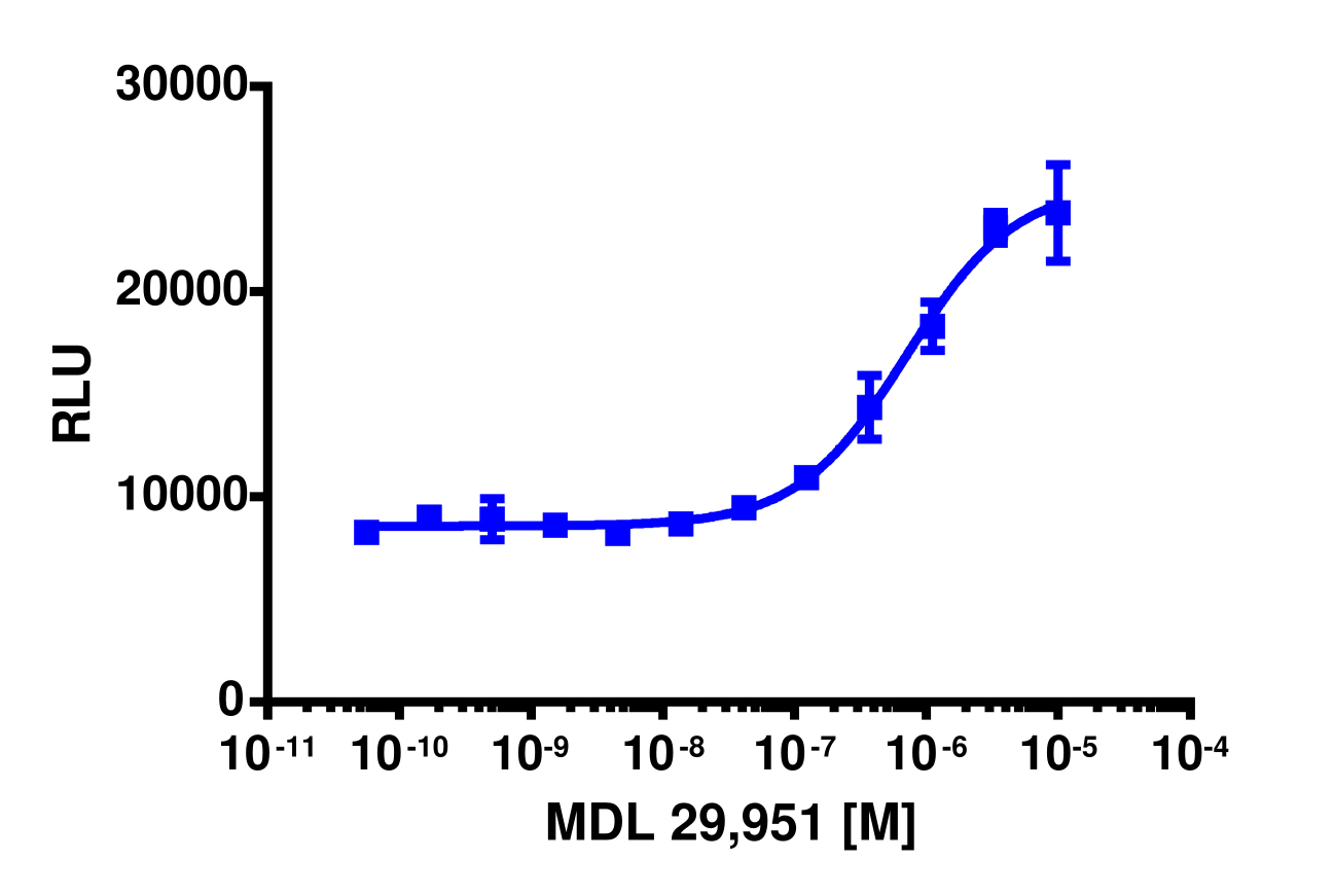 PathHunter® Human GPR17 β-Arrestin Cell-Based Assay Kit (U2OS)