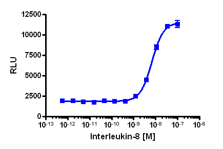 PathHunter® Human IL-8 (CXCR1) Activated GPCR Internalization Cell-Based Assay Kit (U2OS)