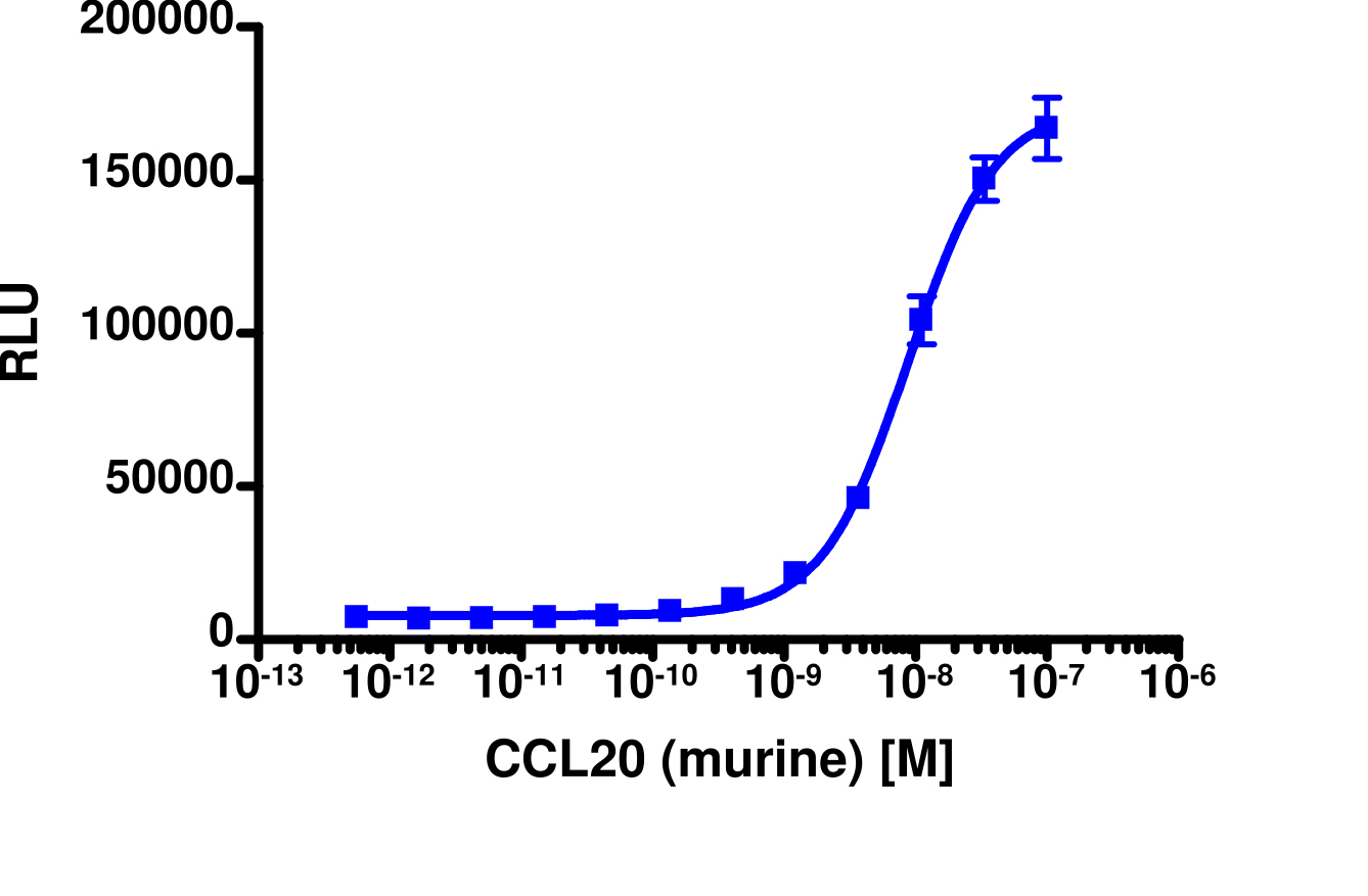 PathHunter® Mouse MIP-3 alpha (CCR6) β-Arrestin Stable Cell Line Assay (CHO-K1)