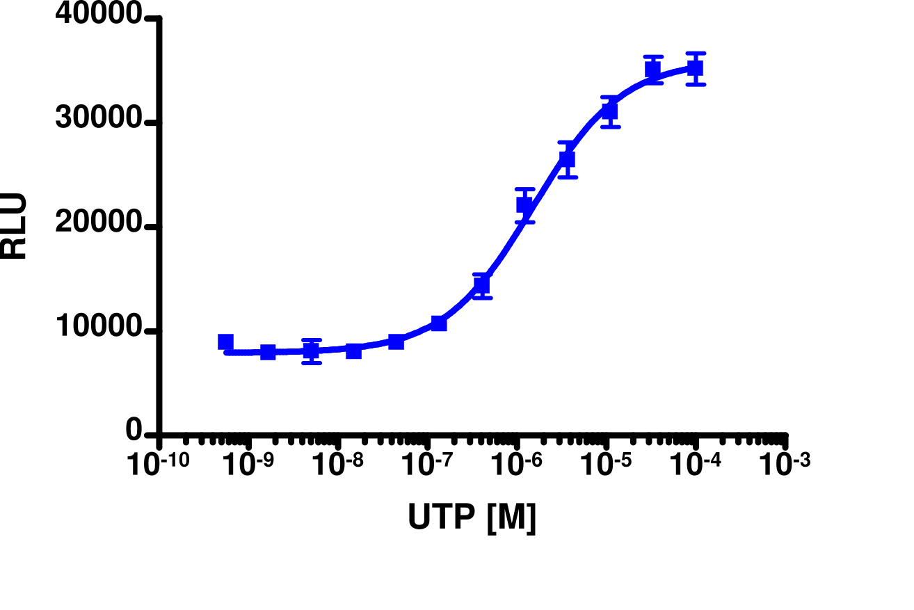 PathHunter® Mouse P2RY6 β-Arrestin Cell-Based Assay Kit (U2OS)