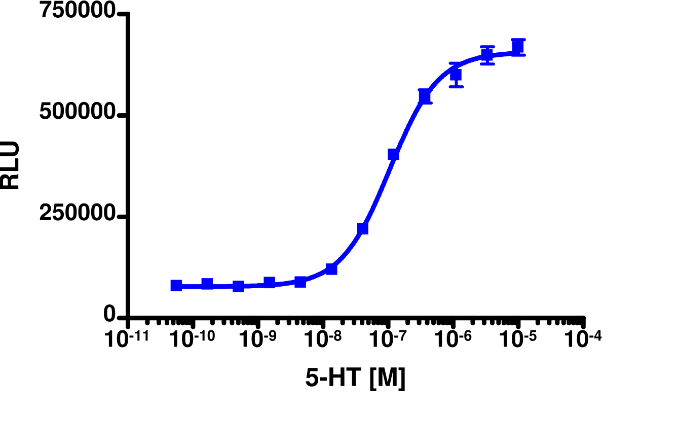 PathHunter® Human HTR1A (5-HT1A) β-Arrestin Cell-Based Assay Kit (CHO-K1)