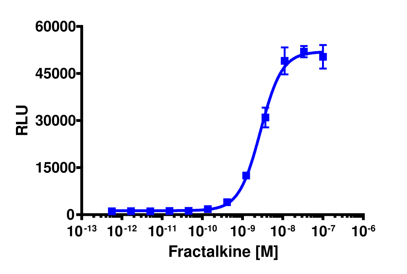 PathHunter® Mouse Fractalkine (CX3CR1) β-Arrestin Stable Cell Line Assay (CHO-K1)