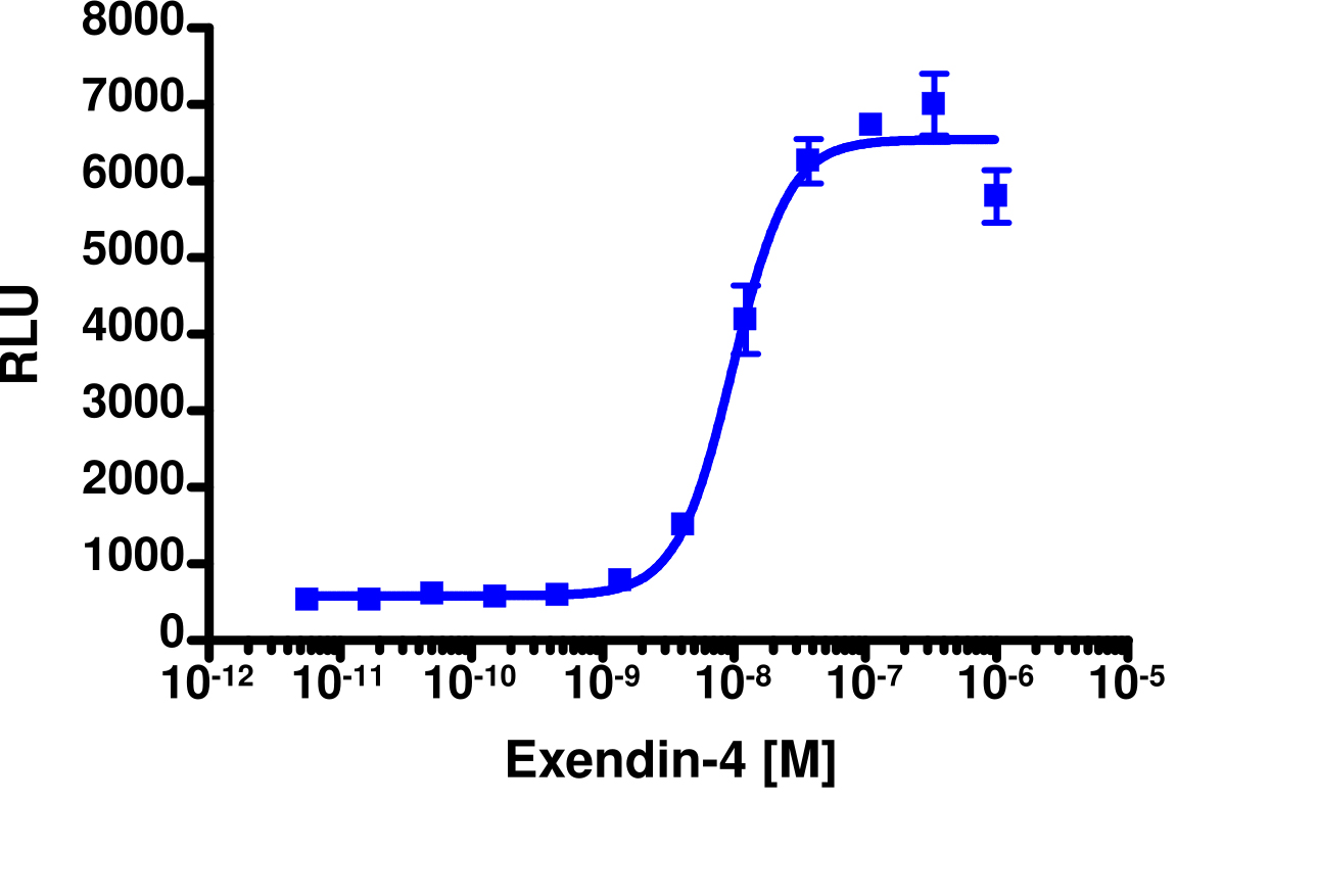 PathHunter® Human GLP-1 (GLP1R) Stable Cell Line Activated GPCR Internalization Assay (U2OS)